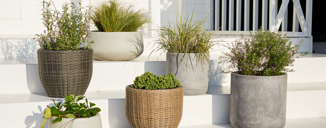 Pflanztöpfe und Pflanzkübel verwandeln deine Terrasse zu einer grüne Oase