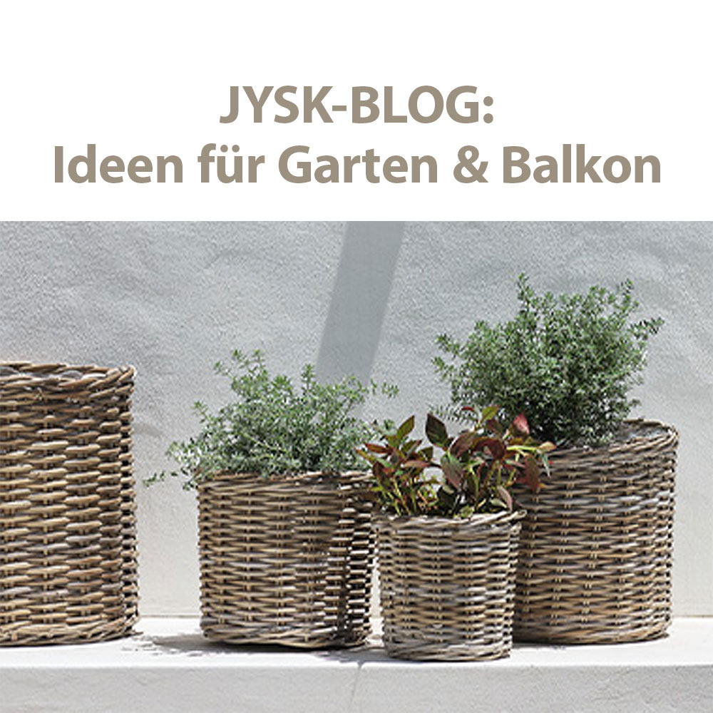 Entdecke unseren Blog!