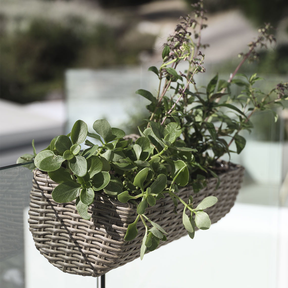 Balkonkasten STEINTROST Balkonkasten aus Polyrattan auf einem Balkon mit Pflanzen