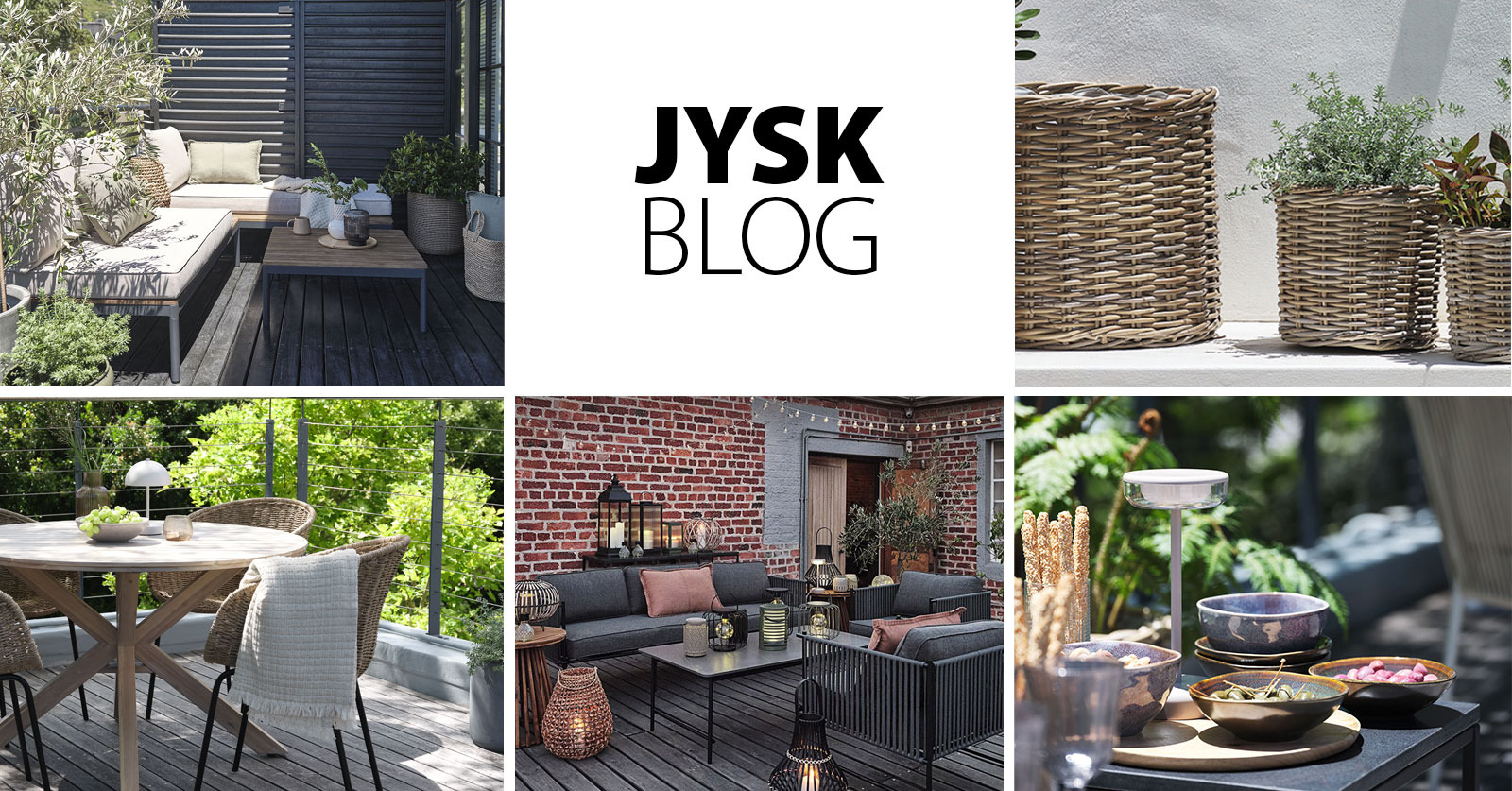 Blog - Garten