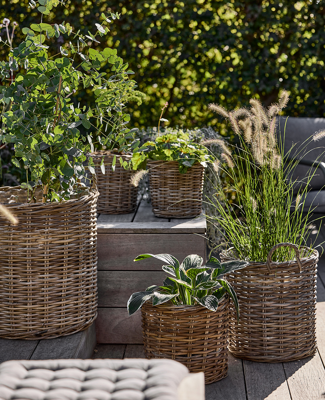 Pflanzkörbe SANSEBIE 
